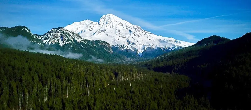 Washington landscape
